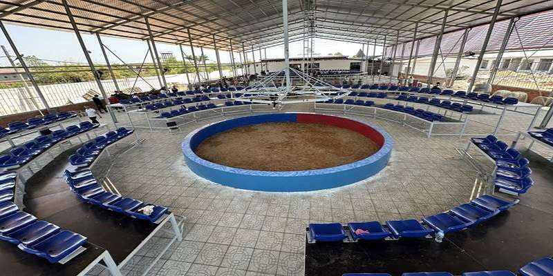 Trường gà là gì Khám phá thế giới giải trí đầy kịch tính tại Alo789